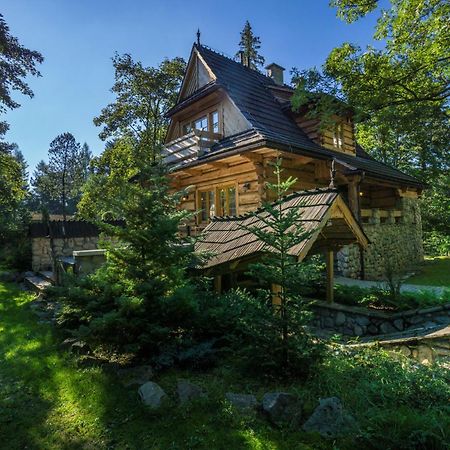 Dom Crocus Villa Zakopane Dış mekan fotoğraf